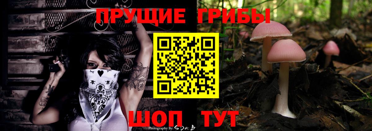 Великий Новгород  Галлюциногенные грибы Psilocybine cubensis  Псилоцибиновые грибы MAGIC MUSHROOMS  Вход с VPN 