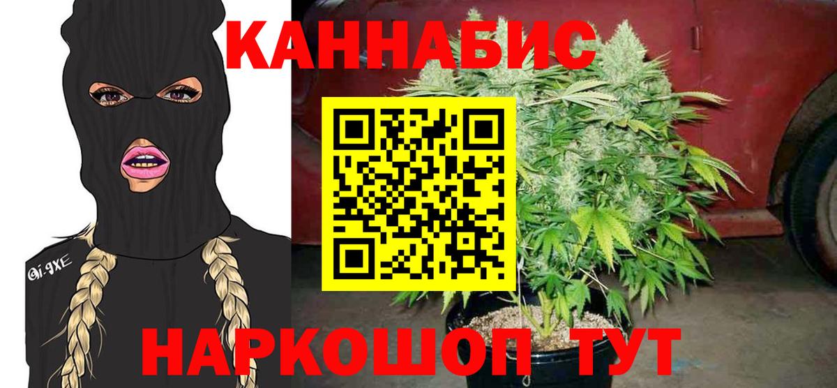Бошки марихуана White Widow  Конопля Ganja  Великий Новгород  Конопля Ganja  Вход с VPN 